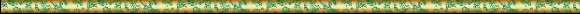 GREEN 3.GIF (9410 bytes)